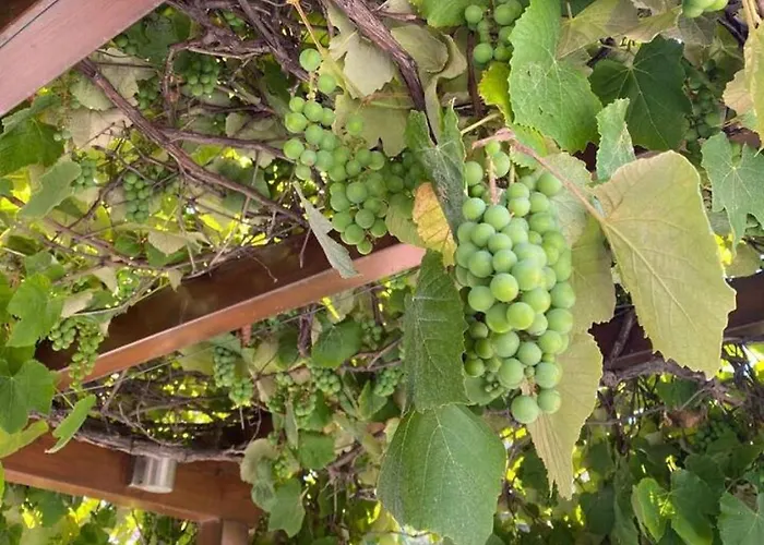 House With Jacuzzi And Sauna