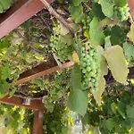 House With Jacuzzi And Sauna