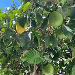 Дом отдыха House With Jacuzzi And Sauna