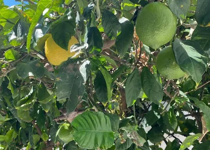 Holiday home House With Jacuzzi And Sauna